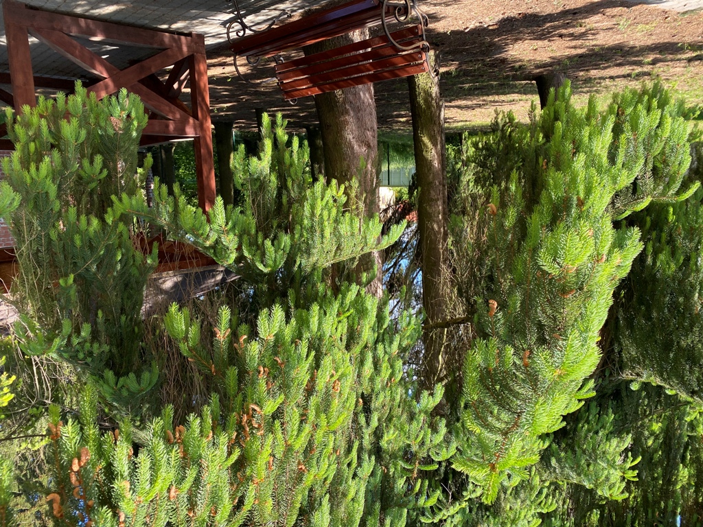 Для пожилых людей! Дом для престарелых во Львове